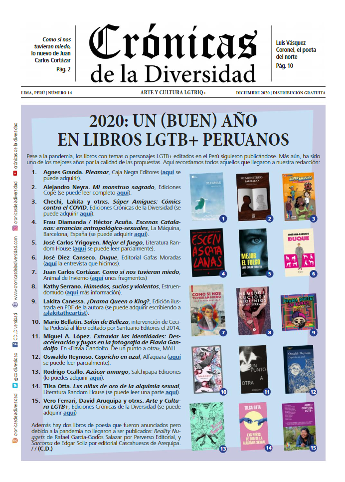 Portada original de Crónicas de la Diversidad N.º 14: 2020: un (buen) año en libros LGTB+ peruanos